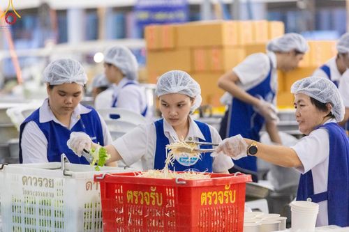 ภาพ No.58954:V.40 ภัตตาหารพระหมื่นวัด เราจัดให้ การปฏิบัติงานของเจ้าหน้าที่และอาสาสมัคร เพื่อรับบุญในการถวายภัตตาหาร แด่คณะสงฆ์ 10,000 กว่าวัดทั่วประเทศ ที่มาร่วมงานวันคุ้มครองโลก จันทร์ที่ 22 เมษายน พ.ศ. 2567 ณ วัดพระธรรมกาย