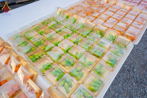 ภาพ No.301151:วันที่ 23 มกราคม พ.ศ. 2569 พิธีถวายภัตตาหารเป็นสังฆทาน แด่พระธรรมยาตรา ณ อนุสรณ์สถานบางปลา วัดบางปลา อำเภอบางเลน จังหวัดนครปฐม ในโครงการธรรมยาตรา กตัญญูบูชา มหาปูชนียาจารย์ พระมงคลเทพมุนี(สด จนฺทสโร) พระผู้ปราบมาร อนุสรณ์สถาน 7 แห่ง ปีที่ 14