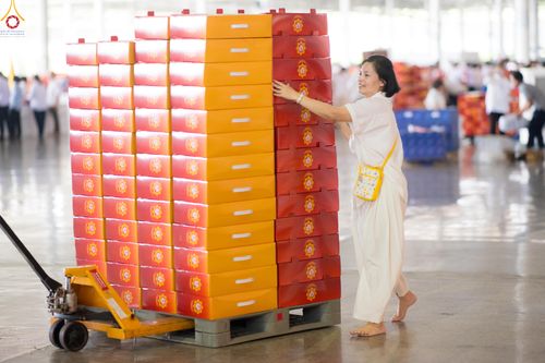 ภาพ No.320536:วันที่ 10 เมษายน พ.ศ.2569 การเตรียมกล่องไทยธรรม เพื่องานถวายมหาสังฆทาน 40,000 กว่าวัดทั่วประเทศ วันคุ้มครองโลก 22 เมษายน พ.ศ.2569 วัดพระธรรมกาย