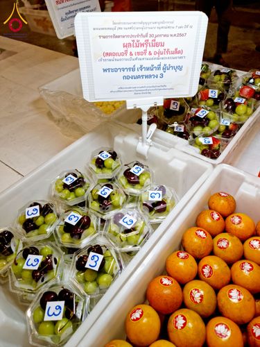 ภาพ No.121260:พิธีถวายภัตตาหารเป็นสังฆทาน แด่คณะพระธรรมยาตราฯ ในโครงการธรรมยาตรากตัญญูบูชา มหาปูชนียาจารย์ พระมงคลเทพมุนี(สด จนฺทสโร) พระผู้ปราบมาร อนุสรณ์สถาน 7 แห่ง ปีที่ 12 วันที่ 30 มกราคม พ.ศ. 2567 ณ สภาธรรมกายสากล วัดพระธรรมกาย