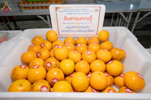 ภาพ No.293781:วันที่ 14 มกราคม พ.ศ. 2569  พิธีถวายภัตตาหารเป็นสังฆทาน แด่พระธรรมยาตรา  ณ วัดสองพี่น้อง ต.ต้นตาล อ.สองพี่น้อง จ.สุพรรณบุรี  ในโครงการธรรมยาตรา กตัญญูบูชา มหาปูชนียาจารย์  พระมงคลเทพมุนี(สด จนฺทสโร) พระผู้ปราบมาร  อนุสรณ์สถาน 7 แห่ง ปีที่ 14