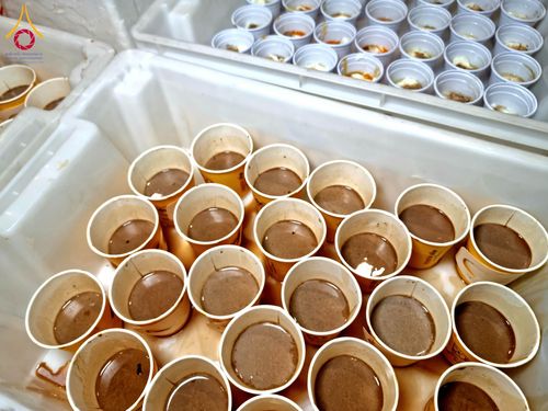 ภาพ No.202828:พิธีถวายภัตตาหารเป็นสังฆทาน แด่พระธรรมยาตรา ณ วัดพระธรรมกาย ตำบลคลองสาม อำเภอคลองหลวง จังหวัดปทุมธานี ในโครงการธรรมยาตรา กตัญญูบูชา มหาปูชนียาจารย์ พระมงคลเทพมุนี(สด จนฺทสโร) พระผู้ปราบมาร อนุสรณ์สถาน 7 แห่ง ปีที่ 13 วันที่ 28 มกราคม พ.ศ. 2568