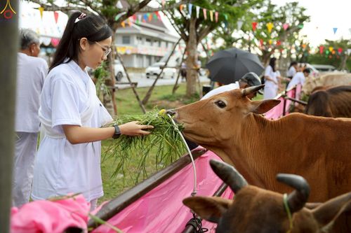ภาพ No.241558:วันเสาร์ที่ 23 สิงหาคม พ.ศ. 2568 พิธีบุพเปตพลีนานาชาติ ปีที่ 12 ณ ศูนย์ปฏิบัติธรรมภาคใต้ อ.บางกล่ำ จ.สงขลา
