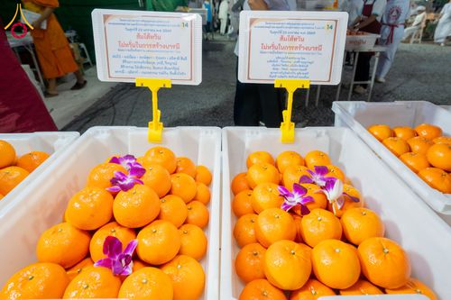 ภาพ No.301174:วันที่ 23 มกราคม พ.ศ. 2569 พิธีถวายภัตตาหารเป็นสังฆทาน แด่พระธรรมยาตรา ณ อนุสรณ์สถานบางปลา วัดบางปลา อำเภอบางเลน จังหวัดนครปฐม ในโครงการธรรมยาตรา กตัญญูบูชา มหาปูชนียาจารย์ พระมงคลเทพมุนี(สด จนฺทสโร) พระผู้ปราบมาร อนุสรณ์สถาน 7 แห่ง ปีที่ 14