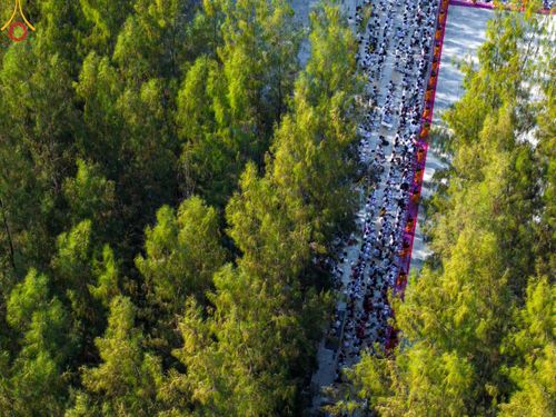 ภาพ No.193242:พิธีต้อนรับพระธรรมยาตรา ณ อนุสรณ์สถาน สถานที่เกิดในเพศสมณะ วัดสองพี่น้อง อำเภอสองพี่น้อง จังหวัดสุพรรณบุรี ในโครงการธรรมยาตรา กตัญญูบูชา มหาปูชนียาจารย์ พระมงคลเทพมุนี(สด จนฺทสโร) พระผู้ปราบมาร อนุสรณ์สถาน 7 แห่ง ปีที่ 13 วันที่ 11 มกราคม พ.ศ. 2568