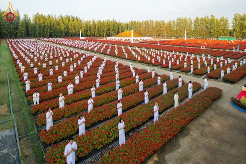 ภาพ No.185450:กิจกรรมเก็บดอกแพงรวย วันอาทิตย์ที่ 22 ธันวาคม พ.ศ. 2567 ณ ทุ่งสวรรค์ ตะวันฉาย วัดพระธรรมกาย