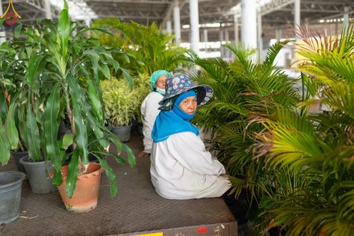 ภาพ No.60815:V.37 ยิ่งกว่าดี เพื่อ 80 ปีของพ่อ ภาพการเตรียมงานของหน่วยงานต่างๆ เพื่อพิธีฉลองอายุวัฒนมงคล 80 ปี หลวงพ่อธัมมชโย และรับถวายมหาสังฆทาน 10,000 กว่าวัดทั่วประเทศ ในวันคุ้มครองโลก วันจันทร์ที่ 22 เมษายน พ.ศ. 2567