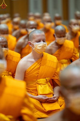 ภาพ No.124361:โครงการปฏิบัติธรรมพิเศษ ของพระธรรมยาตรา และพิธีมอบของขวัญสุดพิเศษ ณ World peace Valley เขาใหญ่ วันพุธที่ 21 กุมภาพันธ์ พ.ศ. 2567