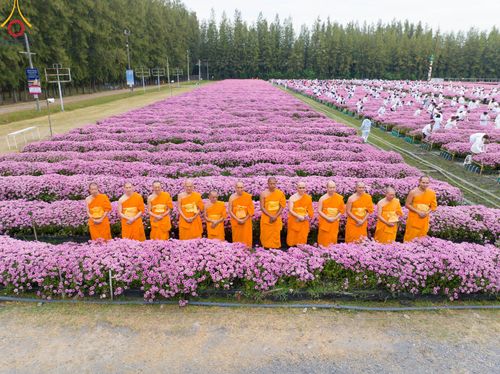 ภาพ No.104000:สาธุชนร่วมรับบุญเก็บดอกเบญจทรัพย์ ในวันอาทิตย์ที่ 24 ธันวาคม พ.ศ. 2566 ณ ทุ่งสวรรค์ตะวันฉาย บริเวณวัดพระธรรมกาย จ.ปทุมธานี