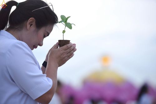 ภาพ No.252886:วันที่ 10 ตุลาคม พ.ศ. 2568 พิธีปลูกต้นทรัพย์บานชื่น ณ ลานธรรม วัดพระธรรมกาย