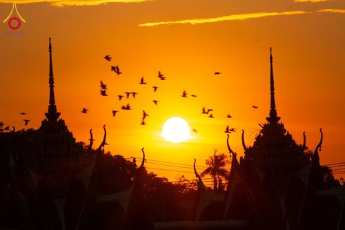 ภาพ No.197044:พระธรรมยาตราปฏิบัติธรรม และถ่ายภาพหมู่ประวัติศาสตร์ ณ วัดโบสถ์(บน) ตำบลบางคูเวียง อำเภอบางกรวย จังหวัดนนทบุรี ในโครงการธรรมยาตรา กตัญญูบูชา มหาปูชนียาจารย์ พระมงคลเทพมุนี(สด จนฺทสโร) พระผู้ปราบมาร อนุสรณ์สถาน 7 แห่ง ปีที่ 13 วันที่ 18 มกราคม พ.ศ. 2568