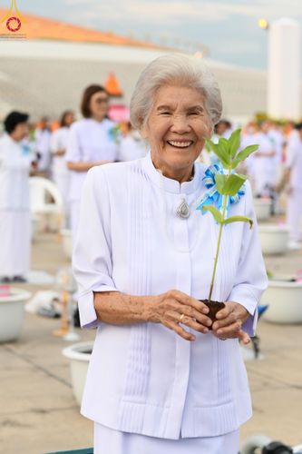 ภาพ No.160406:พิธีปลูกต้นทรัพย์บานชื่น ณ ลานธรรม พระมหาธรรมกายเจดีย์ วัดพระธรรมกาย จ.ปทุมธานี วันพฤหัสบดีที่ 10 ตุลาคม พ.ศ. 2567