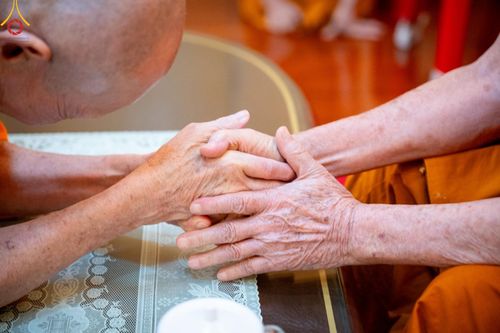 ภาพ No.207472:พิธีตักบาตร และปฏิบัติธรรมช่วงสาย ในวันมาฆบูชา วันพุธที่ 12 กุมภาพันธ์ พ.ศ. 2568 ณ วัดพระธรรมกาย จังหวัดปทุมธานี