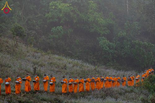 ภาพ No.131049:Photo Story ปฐมบรรพชาชาวพุทธมาร์มา Episode 4/5 วันที่ 13 กุมภาพันธ์พ.ศ. 2567 ณ วัดธัมจักร อรัญกุฏิ บังกลาเทศ