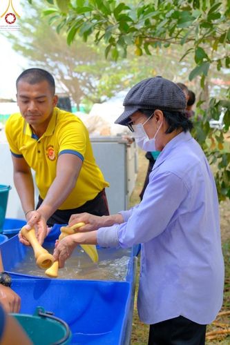 ภาพ No.127527:V.31 ทุ่มเทเพื่อบางกล่ำ การเตรียมงานของเจ้าหน้าที่หน่วยงานต่างๆ  เพื่องานธรรมยาตราอัญเชิญพระบรมสารีริกธาตุ ประดิษฐาน ณ มหารัตนเจดีย์สิริปทุมสวรรค์ (เจดีย์อริยพุทธะ 5 พระองค์) ณ ศูนย์ปฏิบัติธรรมภาคใต้ อ.บางกล่ำ จ.สงขลา ระหว่างวันที่ 9-10 มีนาคม พ.ศ. 2567