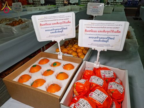 ภาพ No.117484:พิธีถวายภัตตาหารเป็นสังฆทาน แด่คณะพระธรรมยาตรา วันที่ 23 มกราคม พ.ศ. 2567 ณ อนุสรณ์สถานบางปลา อ.บางเลน จ.นครปฐม