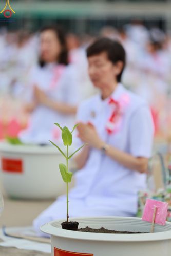 ภาพ No.160497:พิธีปลูกต้นทรัพย์บานชื่น ณ ลานธรรม พระมหาธรรมกายเจดีย์ วัดพระธรรมกาย จ.ปทุมธานี วันพฤหัสบดีที่ 10 ตุลาคม พ.ศ. 2567
