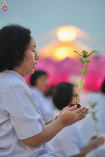 ภาพ No.160506:พิธีปลูกต้นทรัพย์บานชื่น ณ ลานธรรม พระมหาธรรมกายเจดีย์ วัดพระธรรมกาย จ.ปทุมธานี วันพฤหัสบดีที่ 10 ตุลาคม พ.ศ. 2567