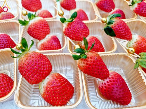 ภาพ No.114565:พิธีถวายภัตตาหารเป็นสังฆทาน แด่คณะพระธรรมยาตรา ปีที่ 12 วันที่ 18 มกราคม พ.ศ. 2567 ณ วัดโบสถ์(บน) บางคูเวียง จ.นนทบุรี