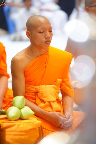 ภาพ No.328472:วันเสาร์ที่ 2 พฤษภาคม พ.ศ.2569 พิธีอุปสมบทสามเณรเตรียม DCI รุ่นที่ 23 ณ อุโบสถพระไตรปิฎก วัดพระธรรมกาย จังหวัดปทุมธานี
