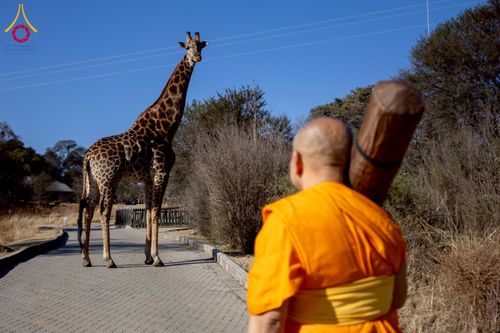 ภาพ No.232888:วันที่ 1 กรกฏาคม พ.ศ. 2568 Dhammayatra in South Africa 2025 ธรรมยาตราแอฟริกาใต้ — เส้นทางแห่งสติ สมาธิ และปัญญา ธรรมทายาทที่ได้อบรมโครงการบรรพชาอุปสมบทหมู่ครั้งที่ 2 ณ วัดพระธรรมกายโจฮันเนสเบิร์ก ประเทศแอฟริกาใต้