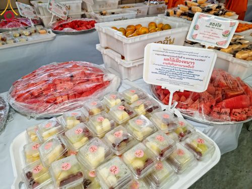 ภาพ No.113025:พิธีถวายภัตตาหารเป็นสังฆทาน แด่คณะพระธรรมยาตรา ปีที่ 12 วันที่ 16 มกราคม พ.ศ. 2567 ณ วัดโบสถ์(บน) บางคูเวียง จ.นนทบุรี