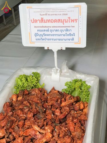 ภาพ No.196965:พิธีถวายภัตตาหารเป็นสังฆทาน แด่พระธรรมยาตรา ณ วัดโบสถ์(บน) ตำบลบางคูเวียง อำเภอบางกรวย จังหวัดนนทบุรี ในโครงการธรรมยาตรา กตัญญูบูชา มหาปูชนียาจารย์ พระมงคลเทพมุนี(สด จนฺทสโร) พระผู้ปราบมาร อนุสรณ์สถาน 7 แห่ง ปีที่ 13 วันที่ 18 มกราคม พ.ศ. 2568