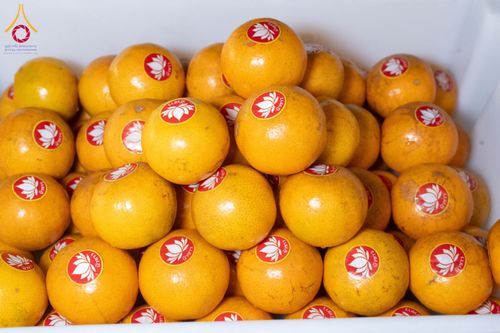 ภาพ No.192587:พิธีถวายภัตตาหารเป็นสังฆทาน แด่พระธรรมยาตรา ณ อนุสรณ์สถานคลองบางนางแท่น อ.สามพราน จ.นครปฐม ในโครงการธรรมยาตรา กตัญญูบูชา มหาปูชนียาจารย์ พระมงคลเทพมุนี(สด จนฺทสโร) พระผู้ปราบมาร อนุสรณ์สถาน 7 แห่ง ปีที่ 13 วันที่ 10 มกราคม พ.ศ. 2568