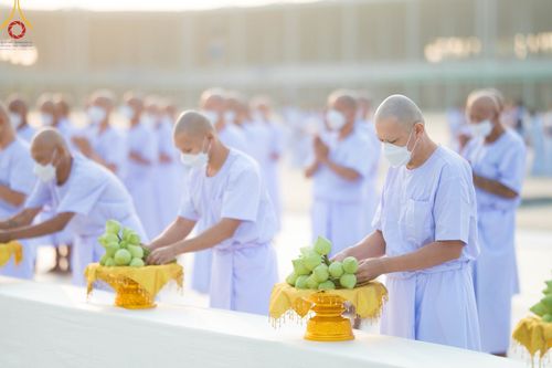 ภาพ No.101470:พิธีเวียนประทักษิณ, พิธีวันทาเจดีย์, พิธีขอขมาและมอบผ้าไตร ในโครงการอุปสมบทหมู่ รุ่นบูชาธรรมมหาปูชนียาจารย์ ณ วัดพระธรรมกาย ในวันที่ 9 ธันวาคม พ.ศ. 2566