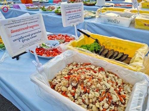 ภาพ No.108485:ถวายภัตตาหารเป็นสังฆทาน แด่คณะพระธรรมยาตราฯ ในโครงการธรรมยาตรากตัญญูบูชา มหาปูชนียาจารย์ พระมงคลเทพมุนี(สด จนฺทสโร) พระผู้ปราบมาร อนุสรณ์สถาน 7 แห่ง ปีที่ 12 วันที่ 7 มกราคม พ.ศ. 2567 ณ อนุสรณ์สถานโลตัสแลนด์ จ.สุพรรณบุรี