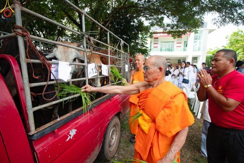 ภาพ No.171377:พิธีทอดกฐินพระนานาชาติเพื่อสร้างทุกสิ่ง  ณ ศูนย์ฝึกอบรมพุทธบุตรนานาชาติ อ.กบินทร์บุรี จ.ปราจีนบุรี วันที่ 27 ตุลาคม พ.ศ. 2567