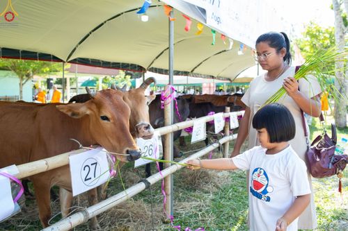 ภาพ No.86586:พิธีบุพเปตพลีนานาชาติ ปีที่ 10  วันเสาร์ที่ 19 สิงหาคม 2566  ณ ศูนย์ปฏิบัติธรรมภาคใต้ อ.บางกล่ำ จ.สงขลา
