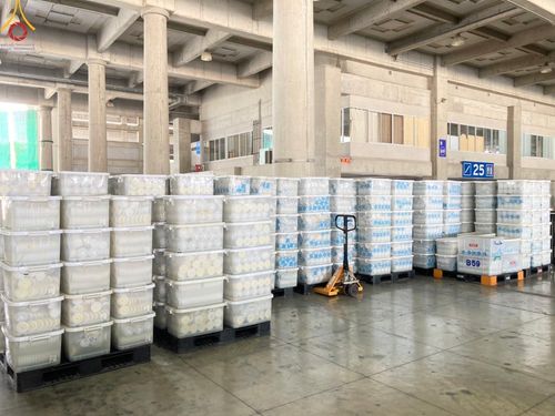 ภาพ No.61375:V.36 ทุ่มเทเพื่อพ่อ 80 ปี ภาพการเตรียมงานของหน่วยงานต่างๆ เพื่อพิธีฉลองอายุวัฒนมงคล 80 ปี หลวงพ่อธัมมชโย และรับถวายมหาสังฆทาน 10,000 กว่าวัดทั่วประเทศ ในวันคุ้มครองโลก จันทร์ที่ 22 เมษายน พ.ศ.2567