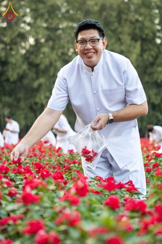 ภาพ No.185498:กิจกรรมเก็บดอกแพงรวย วันอาทิตย์ที่ 22 ธันวาคม พ.ศ. 2567 ณ ทุ่งสวรรค์ ตะวันฉาย วัดพระธรรมกาย