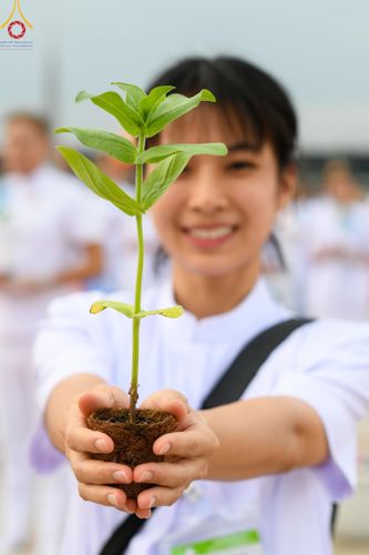 ภาพ No.160454:พิธีปลูกต้นทรัพย์บานชื่น ณ ลานธรรม พระมหาธรรมกายเจดีย์ วัดพระธรรมกาย จ.ปทุมธานี วันพฤหัสบดีที่ 10 ตุลาคม พ.ศ. 2567