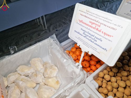 ภาพ No.108121:พิธีถวายภัตตาหารเป็นสังฆทาน แด่คณะพระธรรมยาตราฯ ในโครงการธรรมยาตรากตัญญูบูชา มหาปูชนียาจารย์ พระมงคลเทพมุนี(สด จนฺทสโร) พระผู้ปราบมาร อนุสรณ์สถาน 7 แห่ง ปีที่ 12 วันที่ 8 มกราคม พ.ศ. 2567 ณ อนุสรณ์สถานมหาวิหารพระมงคลเทพมุนี (โลตัสแลนด์) อ.สองพี่น้อง จ.สุ