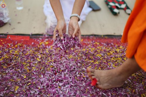 ภาพ No.287098:วันที่ 2 มกราคม พ.ศ.2569 พิธีต้อนรับพระธรรมยาตรา ครั้งที่ 1 (ภาพชุดที่ 2) ณ วัดพระธรรมกาย (วิหารหลวงปู่ - พระมหาธรรมกายเจดีย์)