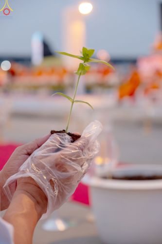 ภาพ No.90212:พิธีปลูกทรัพย์บานชื่น  เนื่องใน 139 ปี วันคล้ายวันเกิดด้วยรูปกายเนื้อ พระมงคลเทพมุนี (สด จนฺทสโร) พระผู้ปราบมาร วันอังคารที่ 10 ตุลาคม พ.ศ. 2566 ณ วัดพระธรรมกาย จ.ปทุมธานี