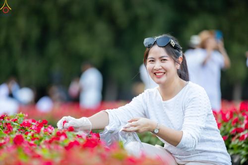 ภาพ No.281014:วันที่ 28 ธันวาคม พ.ศ.2568 กิจกรรมเก็บดอกแพงรวย ณ ทุ่งสวรรค์ตะวันฉาย วัดพระธรรมกาย