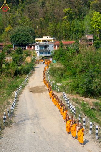 ภาพ No.315756:วันอังคารที่ 24 มีนาคม พ.ศ.2569 ธรรมยาตราจาริก ณ ป่ามหาวัน ประเทศเนปาล