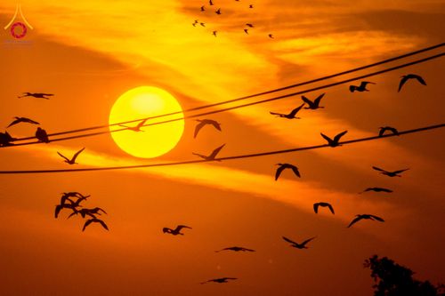 ภาพ No.294662:วันอาทิตย์ที่ 14 ธันวาคม พ.ศ.2568 พระธรรมยาตราปฏิบัติธรรมและถ่ายภาพหมู่ประวัติศาสตร์ ณ วัดสองพี่น้อง ต.ต้นตาล อ.สองพี่น้อง จ.สุพรรณบุรี ในโครงการธรรมยาตรา กตัญญูบูชา มหาปูชนียาจารย์ พระมงคลเทพมุนี(สด จนฺทสโร) พระผู้ปราบมาร อนุสรณ์สถาน 7 แห่ง ปีที่ 14