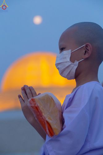 ภาพ No.79699:พิธีเวียนประทักษิณ ณ พระมหาธรรมกายเจดีย์ และพิธีวันทาเจดีย์ ในโครงการบรรพชาสามเณรฟื้นฟูพระพุทธศาสนาทั่วไทย วันเสาร์ที่ 8 เมษายน พ.ศ.2566