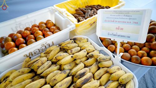 ภาพ No.74967:พิธีถวายภัตตาหารเป็นสังฆทาน แด่คณะพระธรรมยาตราฯ ในโครงการธรรมยาตรากตัญญูบูชา มหาปูชนียาจารย์ พระมงคลเทพมุนี(สด จนฺทสโร) พระผู้ปราบมาร อนุสรณ์สถาน 7 แห่ง ปีที่ 11 วันที่ 29 มกราคม พ.ศ. 2566