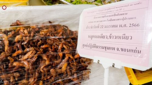 ภาพ No.73788:พิธีถวายภัตตาหารเป็นสังฆทาน แด่คณะพระธรรมยาตราฯ ในโครงการธรรมยาตรากตัญญูบูชา มหาปูชนียาจารย์ พระมงคลเทพมุนี(สด จนฺทสโร) พระผู้ปราบมาร อนุสรณ์สถาน 7 แห่ง ปีที่ 11 วันที่ 22 มกราคม พ.ศ. 2566