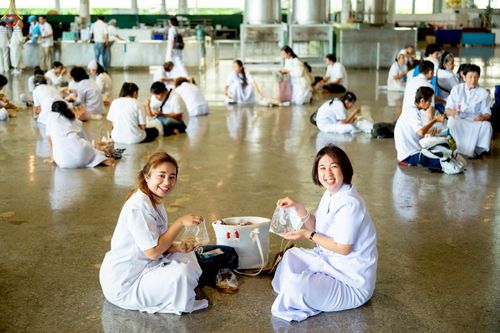 ภาพ No.240577:วันพุธที่ 27 สิงหาคม พ.ศ. 2568 พิธีตักบาตร ในวันธรรมชัย ณ วัดพระธรรมกาย จ.ปทุมธานี