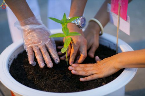 ภาพ No.90207:พิธีปลูกทรัพย์บานชื่น  เนื่องใน 139 ปี วันคล้ายวันเกิดด้วยรูปกายเนื้อ พระมงคลเทพมุนี (สด จนฺทสโร) พระผู้ปราบมาร วันอังคารที่ 10 ตุลาคม พ.ศ. 2566 ณ วัดพระธรรมกาย จ.ปทุมธานี