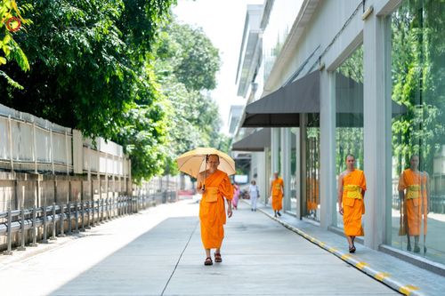 ภาพ No.157630:พิธีถวายภัตตาหารเมนูสวรรค์ ในพรรษาแห่งการเข้าถึงธรรม วันเสาร์ที่ 28 กันยายน พ.ศ. 2567 ณ หอฉันคุณยายอาจารย์ฯ วัดพระธรรมกาย