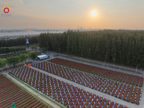 ภาพ No.185426:กิจกรรมเก็บดอกแพงรวย วันอาทิตย์ที่ 22 ธันวาคม พ.ศ. 2567 ณ ทุ่งสวรรค์ ตะวันฉาย วัดพระธรรมกาย