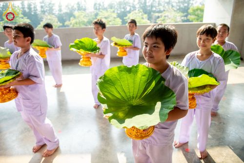 ภาพ No.213499:วันเสาร์ที่ 29 มีนาคม พ.ศ. 2568 พิธีปลงผม โครงการสามเณรยุวธรรมทายาท รุ่นที่ 33 โครงการสามเณรมัชฌิมธรรมทายาท รุ่นที่ 29 ณ ห้องปฏิบัติธรรมวิหารคด คอร์ 13 วัดพระธรรมกาย