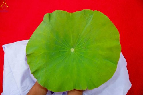 ภาพ No.213743:วันเสาร์ที่ 29 มีนาคม พ.ศ. 2568 พิธีตัดปอยผม ขอขมาผู้ปกครอง มอบบาตร-ผ้าไตร และพิธีบรรพชาสามเณร ณ ศูนย์ปฏิบัติธรรมจังหวัดระยอง (บ้านช่องลม) ต.บางบุตร อ.บ้านค่าย จ.ระยอง